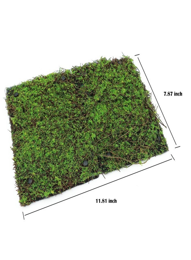 AQUA KT Terrarium Moss Background Backdrop Wall Artificial Reptile Amphibian Cage Decoration for Lizard Bearded Dragon Snake Frog Chameleon Climbing, Pack of 2 - Image 4